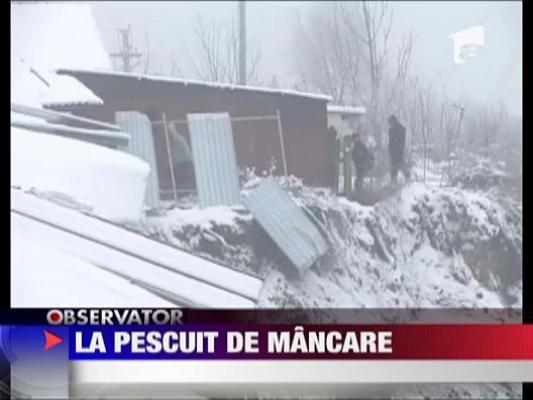 La pescuit de mancare