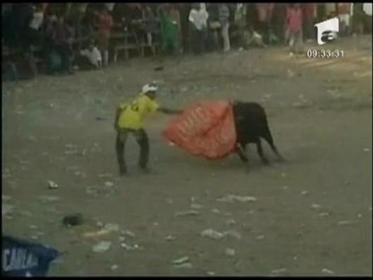 Coride pentru amatori in Columbia