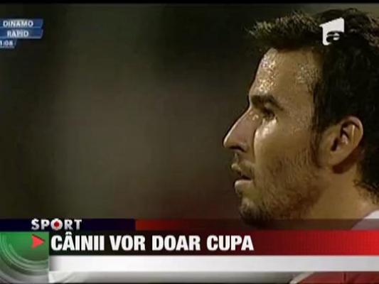 Cainii vor doar Cupa