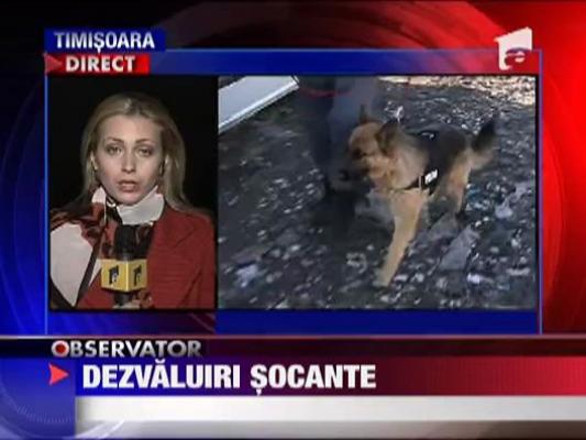 Dezvaluiri socante la Lugoj