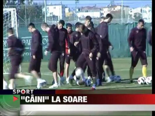 "Cainii" la soare