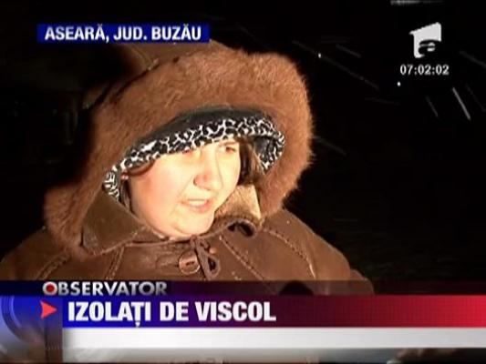 Blocati cu autobuzul printre nameti