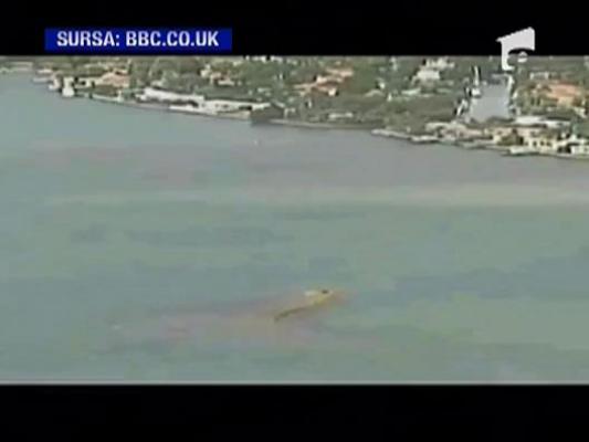 Misterul pianului de pe e o bucatica de nisip dintr-un golf