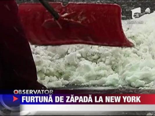 Furtuna de zapada la New York