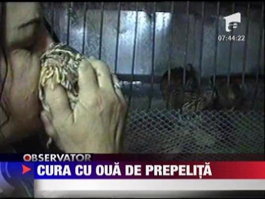 Felicia: Cura cu oua de preprelita