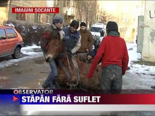 IMAGINI SOCANTE! Stapan fara suflet