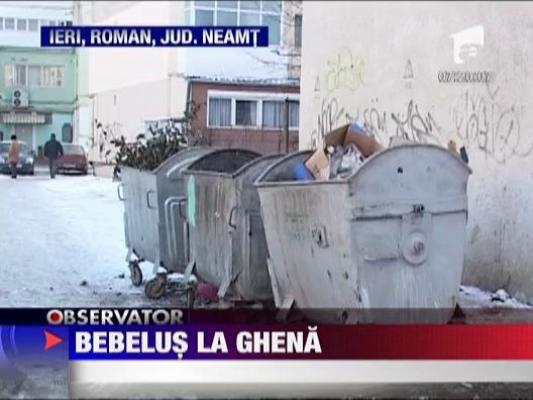 Bebelus aruncat la ghena