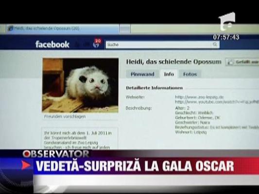 Vedeta-surpriza la Gala premiilor Oscar