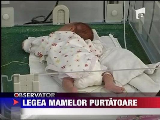 Legea mamelor surogat