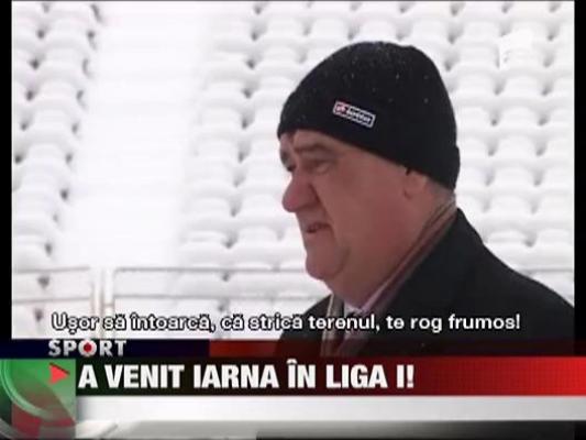 Puscariasii curata gazonul Timisoarei