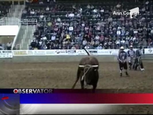 Un taur a sarit in tribuna spectatorilor