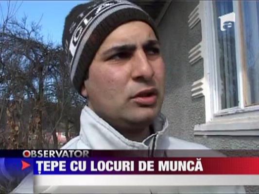 Tepe cu locurile de munca