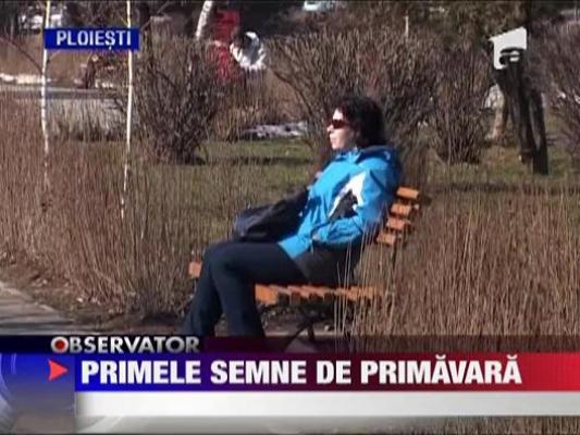 Primele semne de primavara