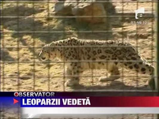 Noile vedete la  gradina zoologica din Ungaria