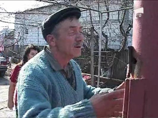 Un strut scapat dintr-o crescatorie a ajuns pe strazile din Pitesti