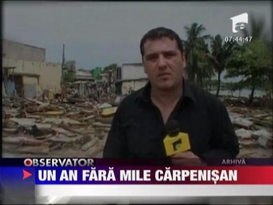 Un an fara Mile Carpenisan