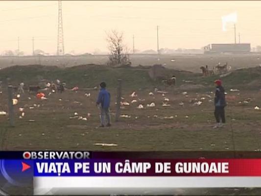 Traiesc pe un camp plin de gunoaie