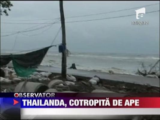 Thailanda, cotropita de ape