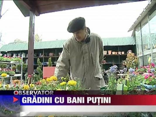 Gradini cu bani putini