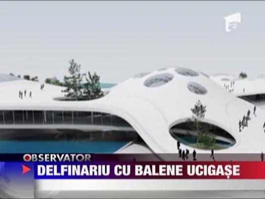 Delfinariu cu balene ucigase la Constanta