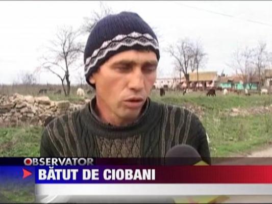 Barbat batut de ciobanii consateni!