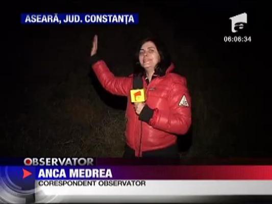 Tanar batut si legat in padure de doi violatori