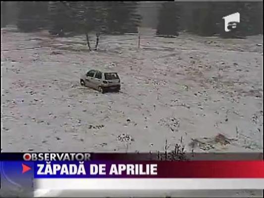 Iarna nu vrea sa plece