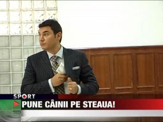 Borcea pune "cainii" pe Steaua