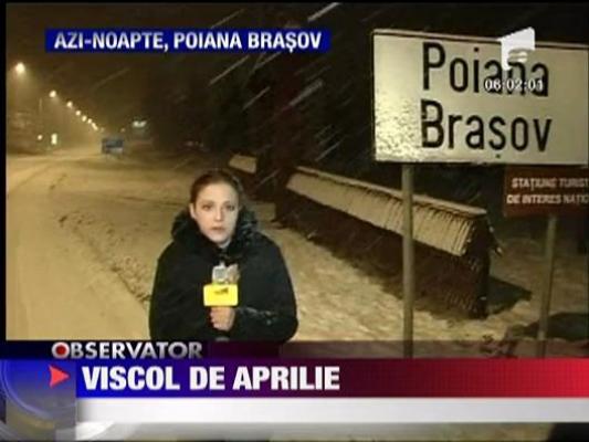 Viscol in Poiana Brasov