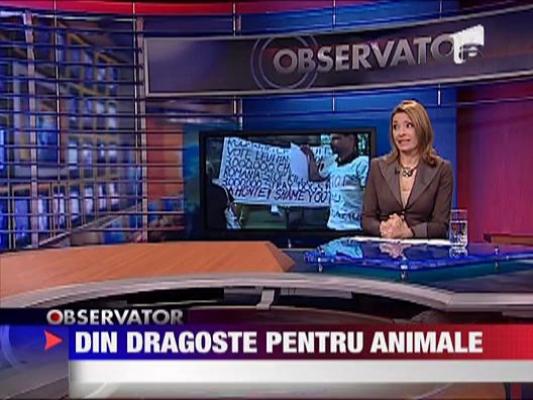 Dragoste pentru animale