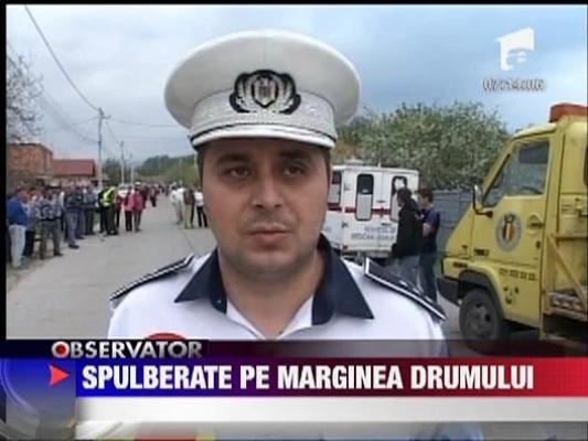 Spulberate pe marginea drumului