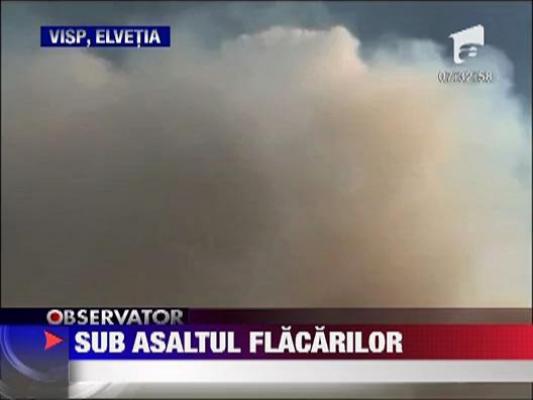 Incendiile de vegetatie fac ravagii
