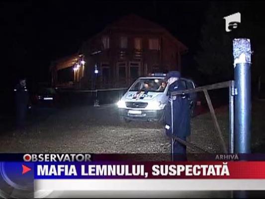 Mafia lemnului, suspectata de uciderea viceprimarului din Harghita