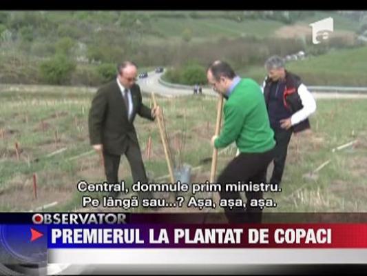 Emil Boc, la plantat copaci