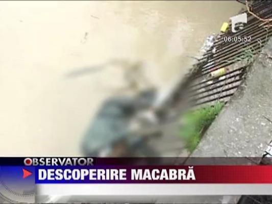 Descoperire macabra in Targoviste