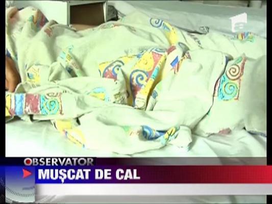Un tanar de 19 ani a fost muscat de penis de un cal