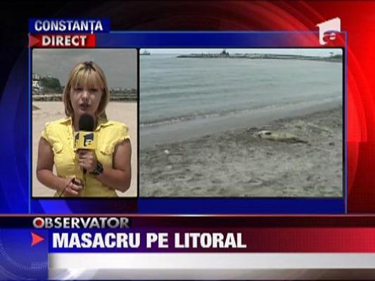 Masacru pe litoral