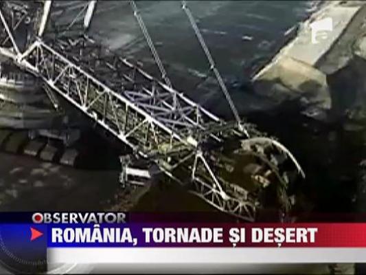 In 2010 gazele de sera au ajuns la un nivel record