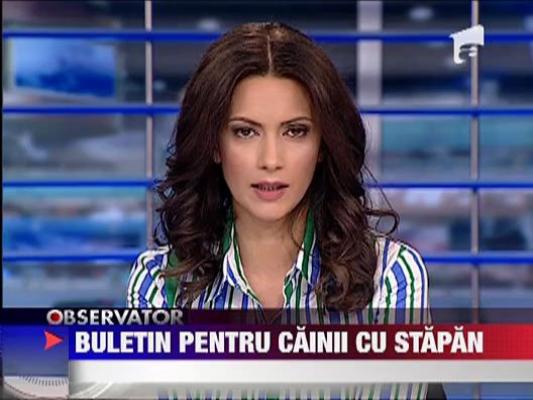 Buletin electronic pentru cainii din Bucuresti