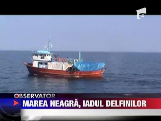 Marea Neagra, iadul delfinilor