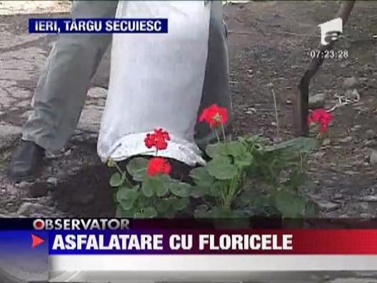 A plantat flori intr-o groapa uriasa din asfalt
