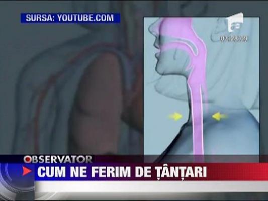 Sanatate: Cum ne ferim de tantari