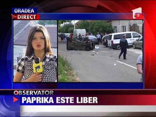 Interlopul ucigas din Oradea va fi cercetat in libertate