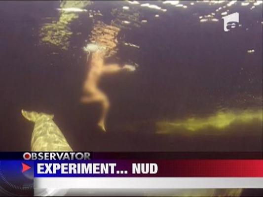 A renuntat la haine pentru a imblanzi cateva balene albe