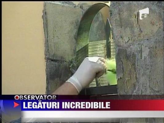 Legaturi misterioase intre avocatul suspect de instigare la crima si Cioaca