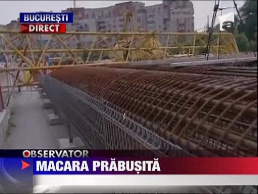 Macara prabusita