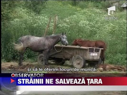 Un sat de rromi din Sibiu salvat de austrieci