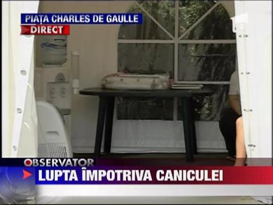 Lupta impotriva caniculei