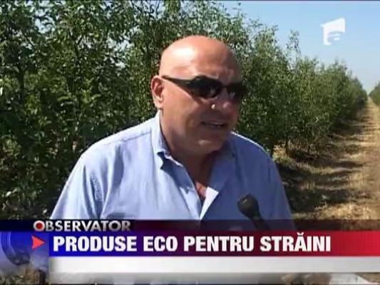 Produse ECO pentru straini