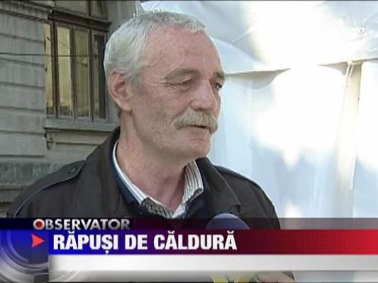 Cod galben de canicula in toata tara